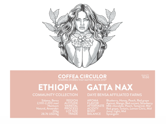 ETHIOPIA Gatta Natural Anaerobic NAX (WBrC 6th place) -- 100G