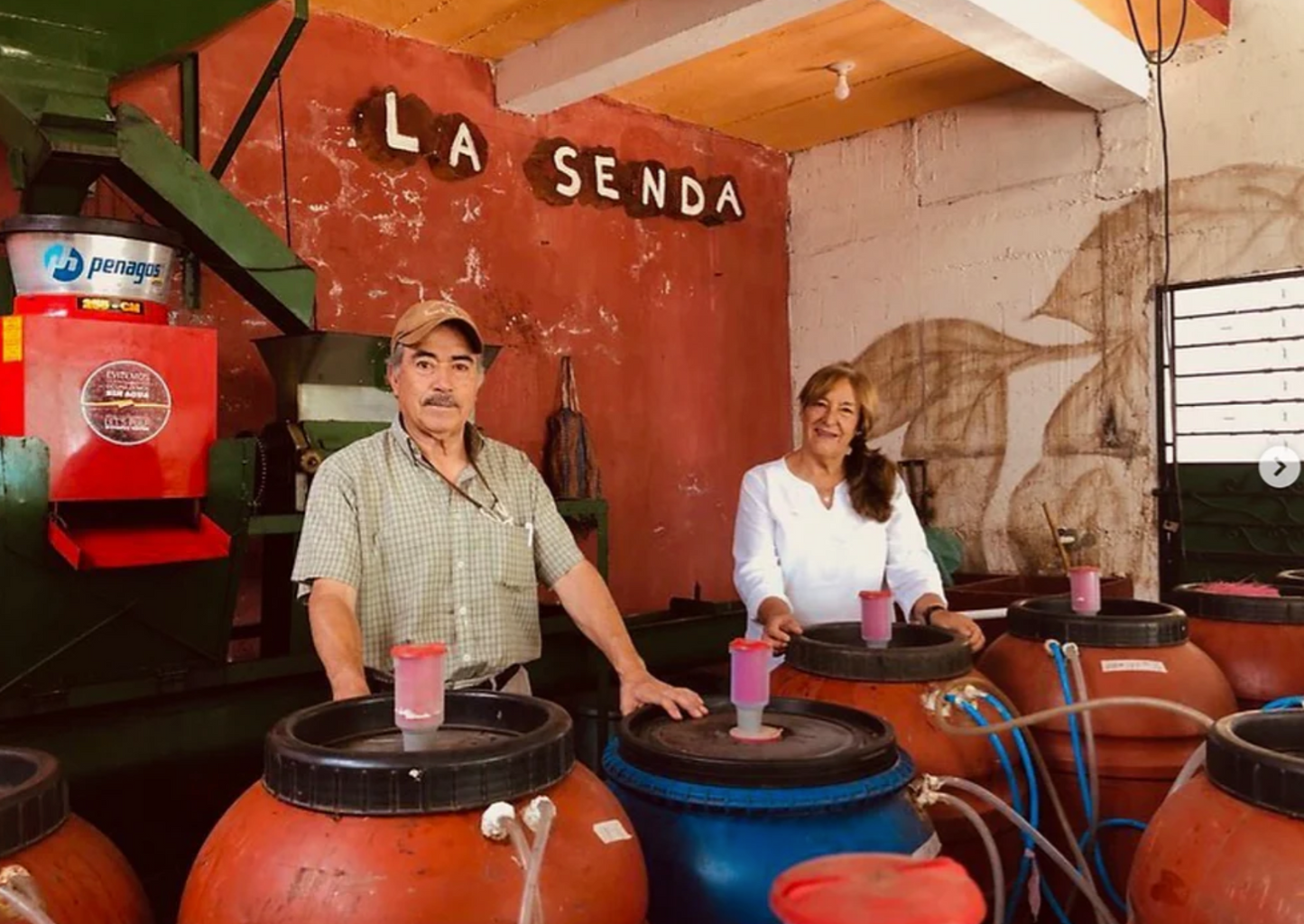 Guatemala - La Senda - Natural Geisha (100G)